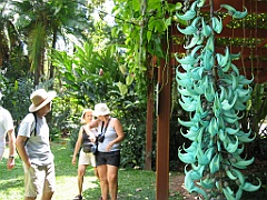 021 Jardin Botanique